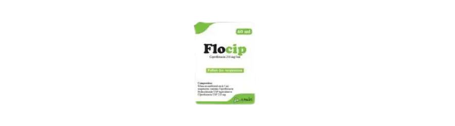 Flocip